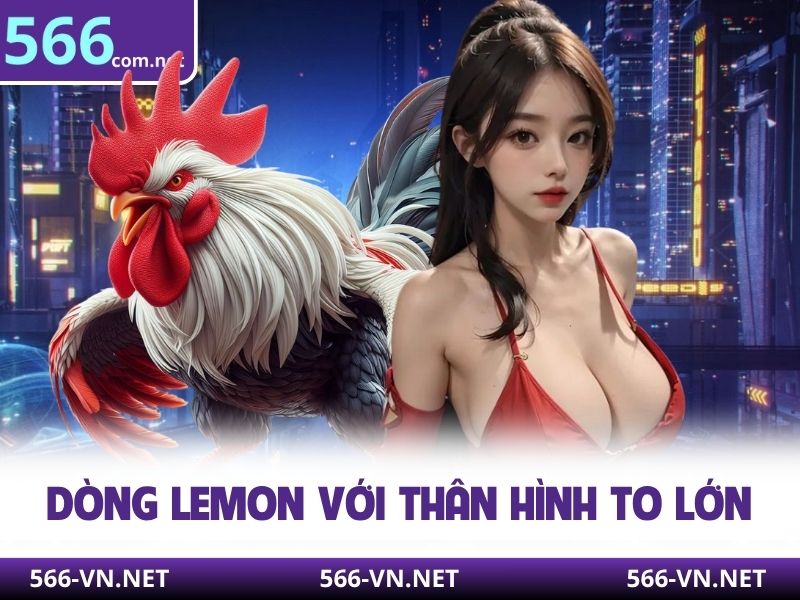 Dòng Lemon với thân hình to lớn